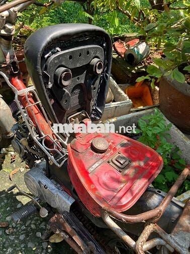 MD 50 đầu dream 100cc