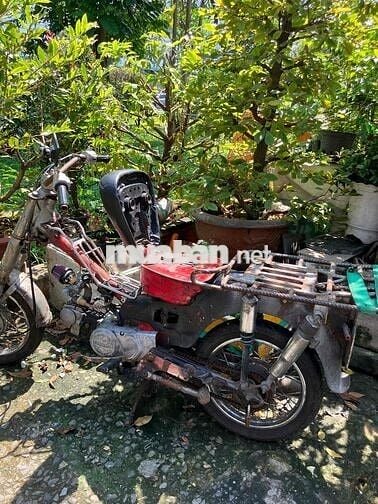 MD 50 đầu dream 100cc