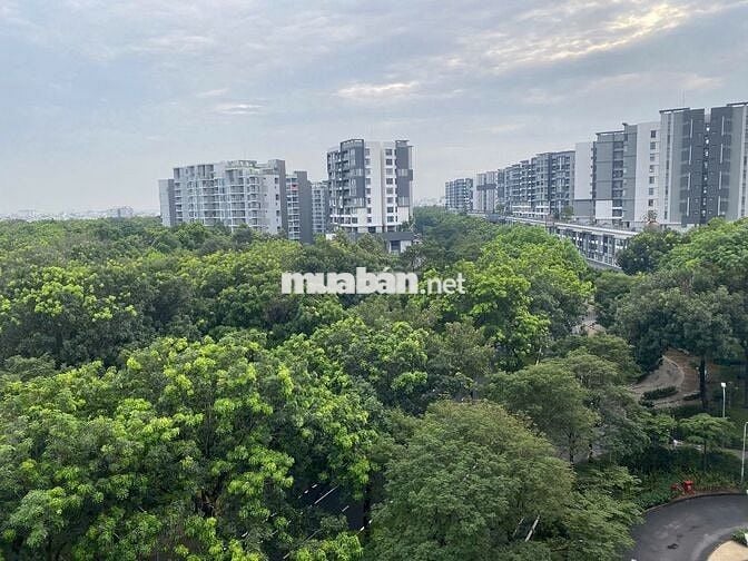 Emerald căn góc 86m2 ban công bay 2 view đại lộ và công viên nội khu.