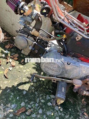 MD 50 đầu dream 100cc