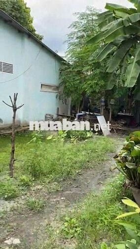 BÁN ĐẤT ĐƯỜNG PHẠM VĂN ĐỒNG – LINH TÂY – 95.9M² – GIÁ 7.5 TỶ (TL)