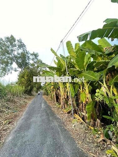 Lộ Đang Mở Rộng . Rẻ Nhất Khu vực ( Cạnh 22 cạnh 11 )