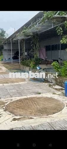 Quĩ đất lớn 5,1ha ngay trung tâm thị trấn Võ Xu