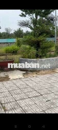 Quĩ đất lớn 5,1ha ngay trung tâm thị trấn Võ Xu