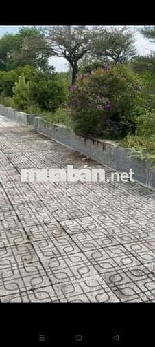 Quĩ đất lớn 5,1ha ngay trung tâm thị trấn Võ Xu