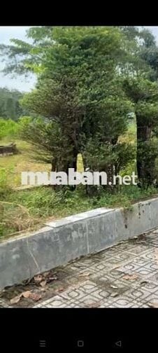 Quĩ đất lớn 5,1ha ngay trung tâm thị trấn Võ Xu