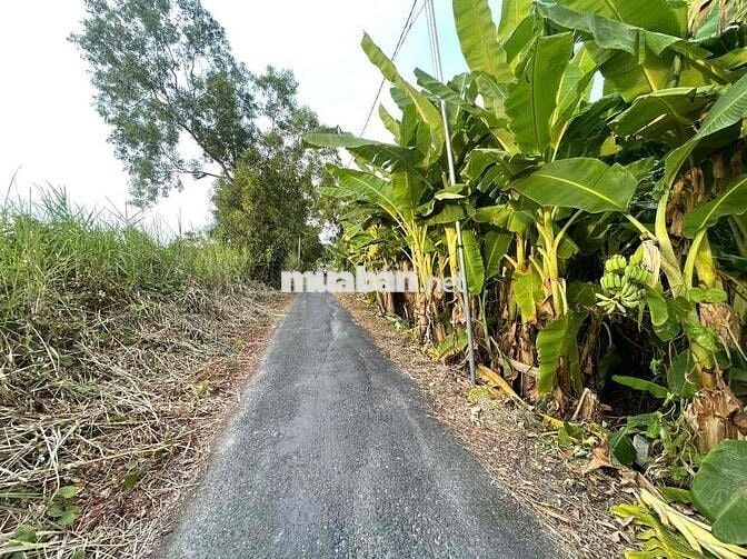 Lộ Đang Mở Rộng . Rẻ Nhất Khu vực ( Cạnh 22 cạnh 11 )