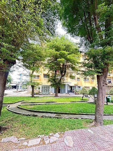  CC Bùi Minh Trực P6 Q8 45,3m2 SHR Căn góc 1PN lầu 1 . HHMG: 25tr