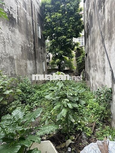 Chính chủ gửi bán 33m2 chợ bưởi, võ chí công, Hoàng Quốc Việt