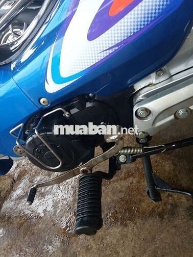 Cọp đen 2002. Chỉ mới dọn nhẹ..Liên hệ ***