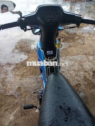 Cọp đen 2002. Chỉ mới dọn nhẹ..Liên hệ ***