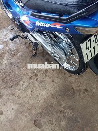 Cọp đen 2002. Chỉ mới dọn nhẹ..Liên hệ ***