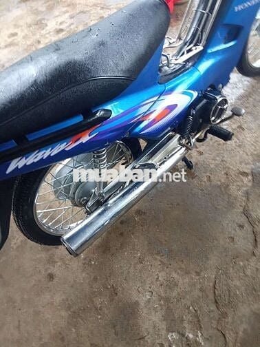 Cọp đen 2002. Chỉ mới dọn nhẹ..Liên hệ ***