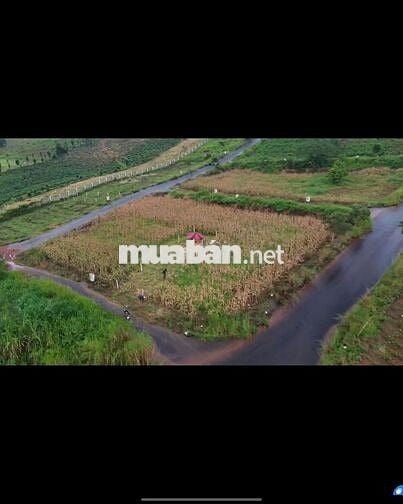 VIEW TRIỆU ĐÔ ĐẤT ĐẸP TẠI LÂM ĐỒNG 198M2 BAO SỔ CÔNG CHỨNG