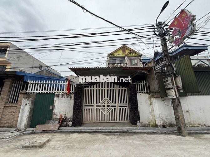 320m2 sổ đỏ 220,5m2 tại Việt Hùng, Đông Anh trục chính giá RẺ SỐC