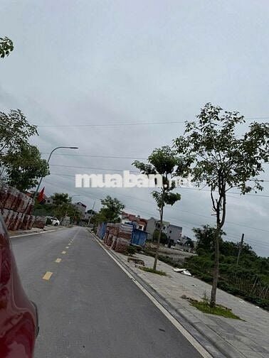 320m2 sổ đỏ 220,5m2 tại Việt Hùng, Đông Anh trục chính giá RẺ SỐC