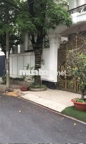CHDV mới an ninh khu biệt thự An Lộc Nguyễn Oanh Gò Vấp 4tr