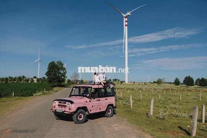 Khu Đất Quánh, Xã Hoà Thắng, Huyện Bắc Bình, Bình Thuận.