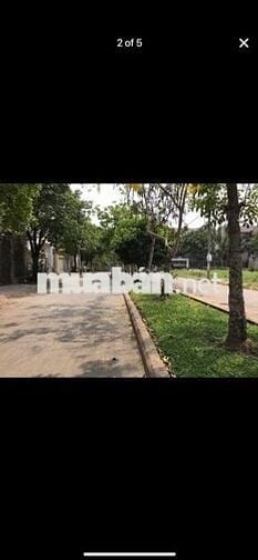 CHDV mới an ninh khu biệt thự An Lộc Nguyễn Oanh Gò Vấp 4tr