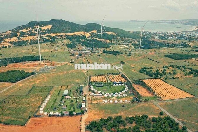 Khu Đất Quánh, Xã Hoà Thắng, Huyện Bắc Bình, Bình Thuận.