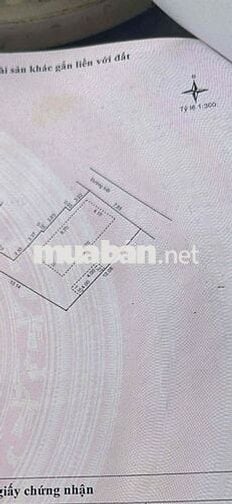 HÀNG HIẾM Bán gấp đất dt lớn 117m – Kiệt ô tô trung tâm Sơn Trà