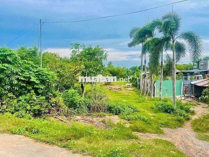 (Chính chủ) đất mặt tiền Kênh Đông, 270,3m2, có thổ cư, chỉ 2.4 tỷ