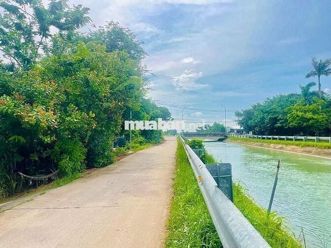 (Chính chủ) đất mặt tiền Kênh Đông, 270,3m2, có thổ cư, chỉ 2.4 tỷ