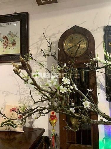 Cho thuê nhà mặt ngõ Phan Chu Trinh -  Hoàn Kiếm - Hà Nội