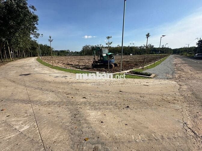 Cần sang nhanh miếng đất 250m2 nằm trên MT đường DH nhựa 32m ngay TTHC
