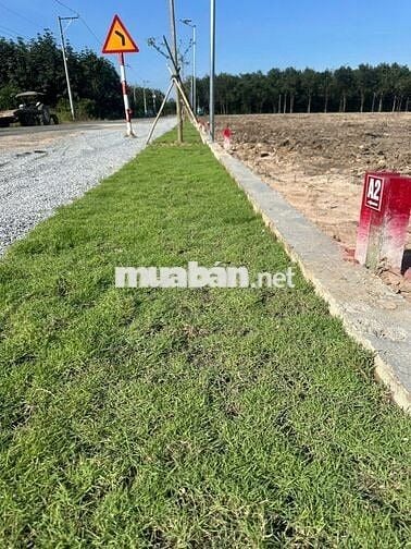 Cần sang nhanh miếng đất 250m2 nằm trên MT đường DH nhựa 32m ngay TTHC