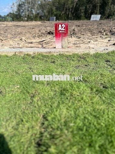 Cần sang nhanh miếng đất 250m2 nằm trên MT đường DH nhựa 32m ngay TTHC