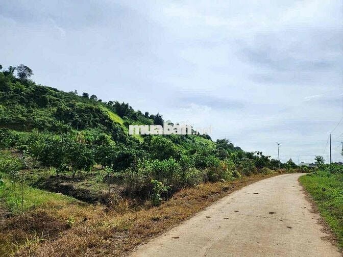 Liên Hà 1000m2, có 200m2 thổ cư xây nhà - xây view