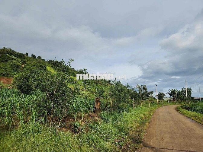 Liên Hà 1000m2, có 200m2 thổ cư xây nhà - xây view