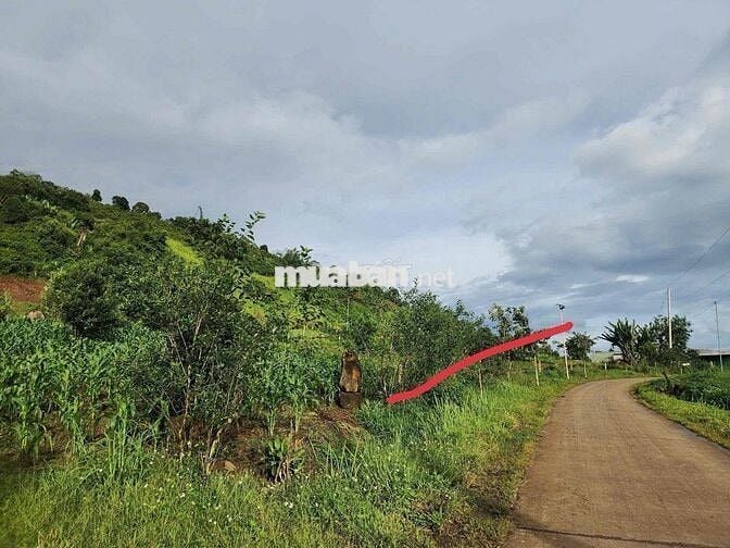 Liên Hà 1000m2, có 200m2 thổ cư xây nhà - xây view