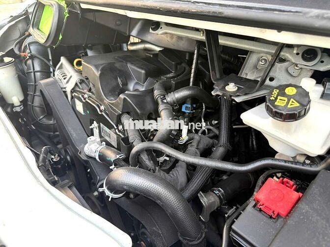 Ford Transit 2023 Trắng 126.000km