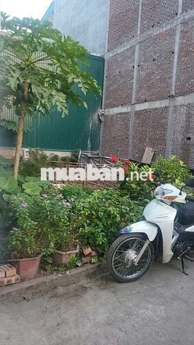 40m2 Đất Xuân Đỗ Long Biên Ô Tô qua Cửa NGõ Thông – 6.2 tỷ