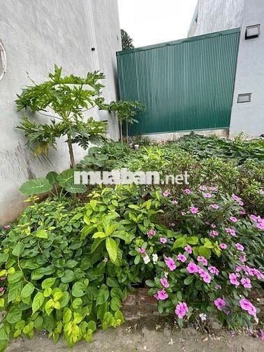 40m2 Đất Xuân Đỗ Long Biên Ô Tô qua Cửa NGõ Thông – 6.2 tỷ