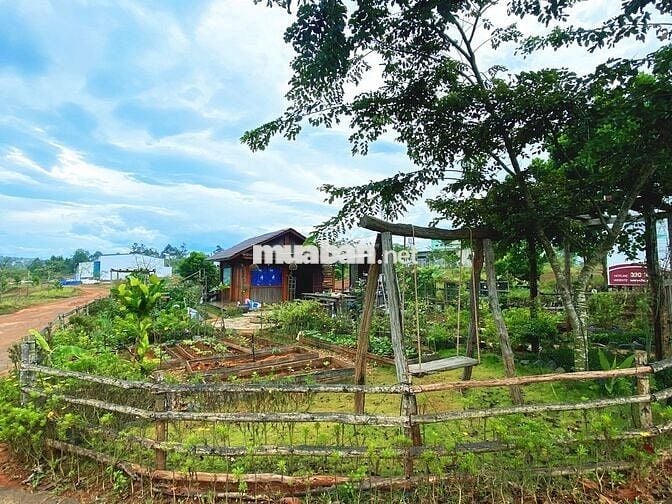 🌿 "600 TRIỆU – MUA MỘT MẢNH ĐẤT 1000M@, NHẬN LẠI CẢ BÌNH YÊN TẠI ĐN"