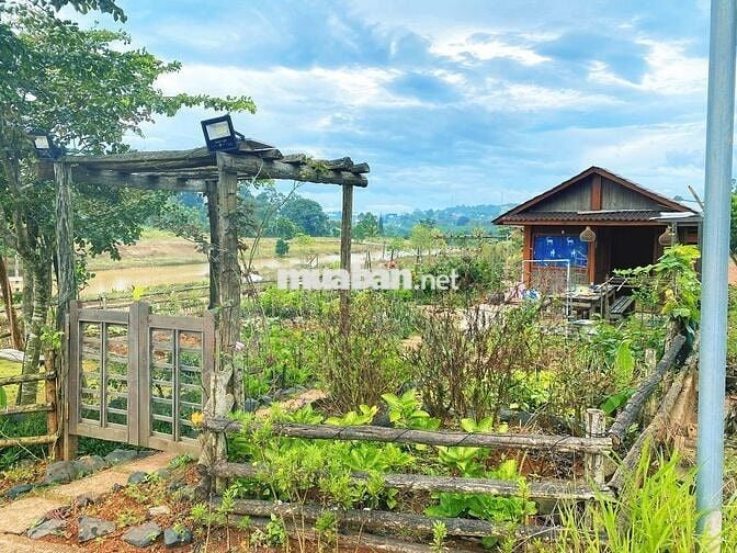 🌿 "600 TRIỆU – MUA MỘT MẢNH ĐẤT 1000M@, NHẬN LẠI CẢ BÌNH YÊN TẠI ĐN"