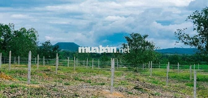 🌿 "600 TRIỆU – MUA MỘT MẢNH ĐẤT 1000M@, NHẬN LẠI CẢ BÌNH YÊN TẠI ĐN"