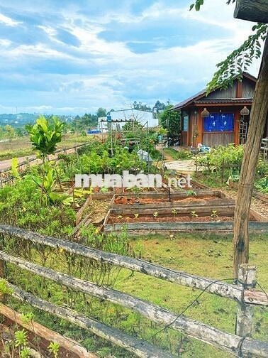 🌿 "600 TRIỆU – MUA MỘT MẢNH ĐẤT 1000M@, NHẬN LẠI CẢ BÌNH YÊN TẠI ĐN"