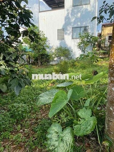 Bán đấn trong khu dân cư Thành Phố Bảo Lộc. Đã có sổ riêng.