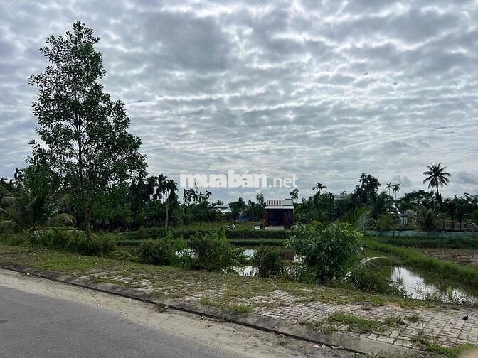 Bán lô đất tái định cư Hoà Khương view cánh đồng ruộng cực chill