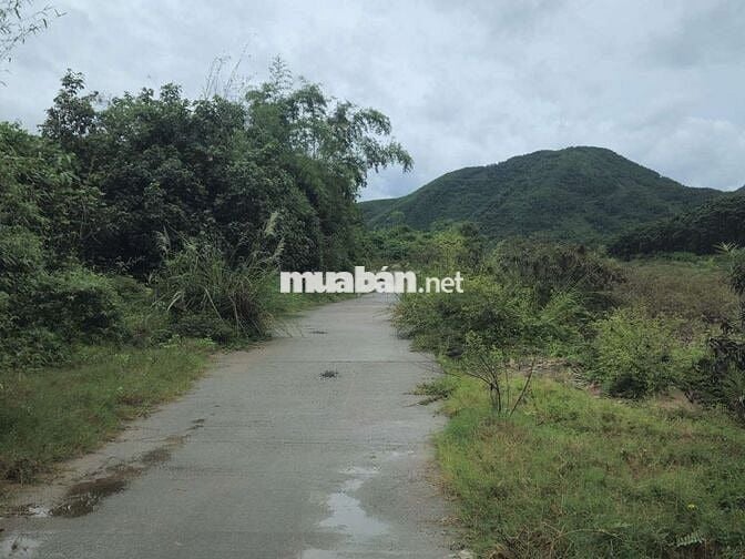Bán lô đất 6700m2, view sông, Thôn Nam Yên & An Định, Hòa Bắc, 5.45 tỷ