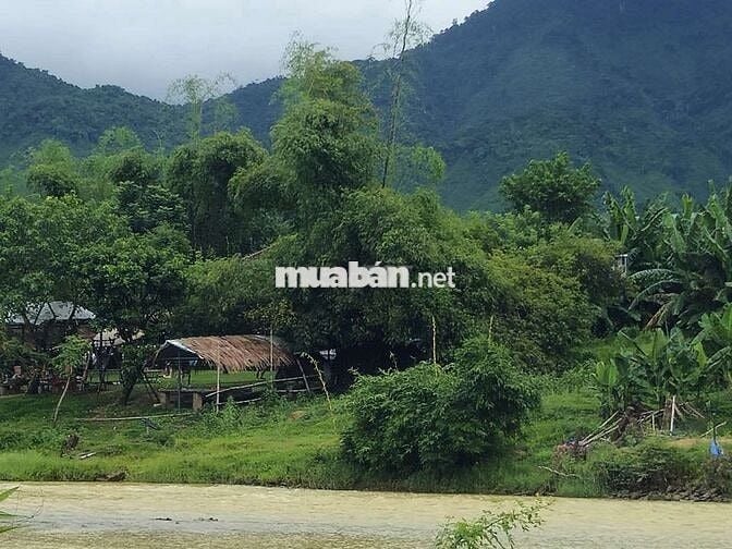 Bán lô đất 6700m2, view sông, Thôn Nam Yên & An Định, Hòa Bắc, 5.45 tỷ