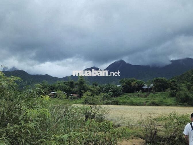 Bán lô đất 6700m2, view sông, Thôn Nam Yên & An Định, Hòa Bắc, 5.45 tỷ
