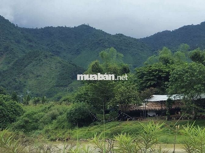 Bán lô đất 6700m2, view sông, Thôn Nam Yên & An Định, Hòa Bắc, 5.45 tỷ
