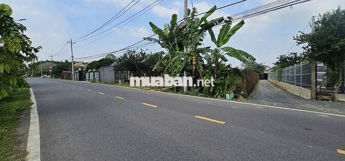 Đất sổ riêng thổ cư mặt tiền hương lộ 7 - P. Tân Triều