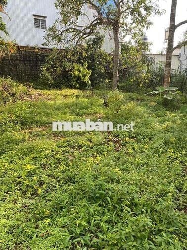 Bán đấn trong khu dân cư Thành Phố Bảo Lộc. Đã có sổ riêng.