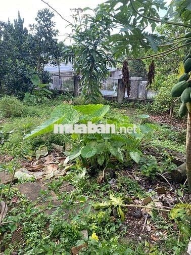 Bán đấn trong khu dân cư Thành Phố Bảo Lộc. Đã có sổ riêng.